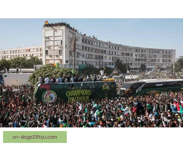 塞内加尔球员获赠豪华土地和高额奖金 塞内加尔球员获赠豪华土地和高额奖金