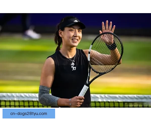 前十十八岁创史王欣瑜诺娃定档